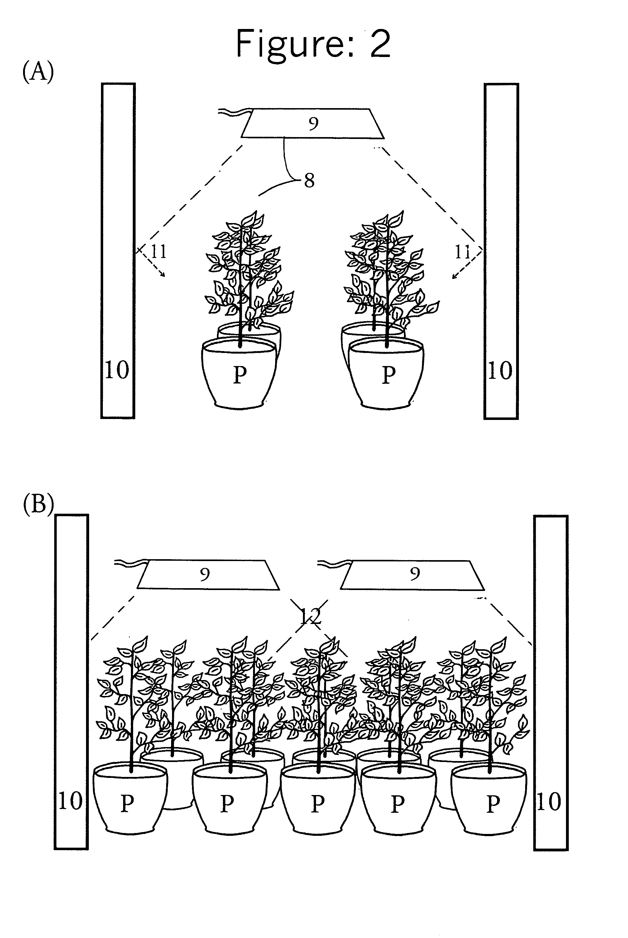 Spectural specific horticulture apparatus