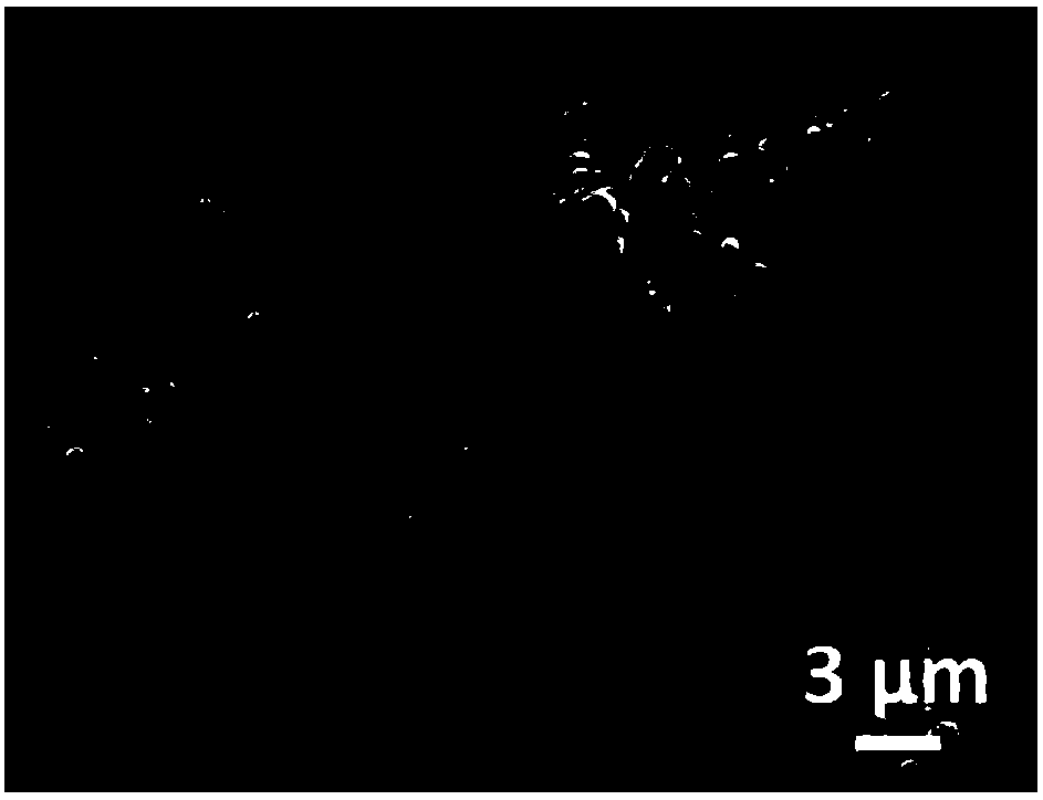 Method for preparing hollow spheres and films surrounded by VO2 nanosheets