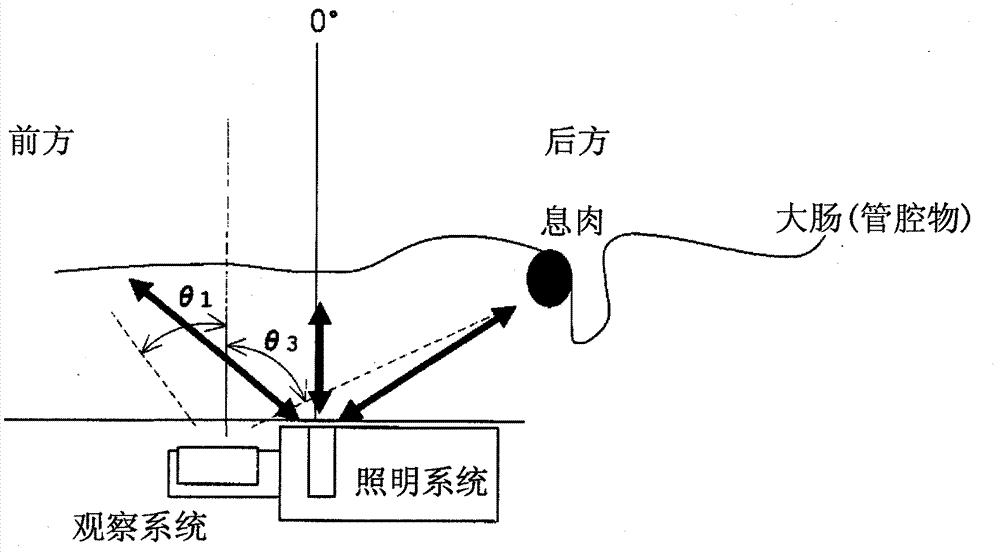 Lighting optical system for endoscope