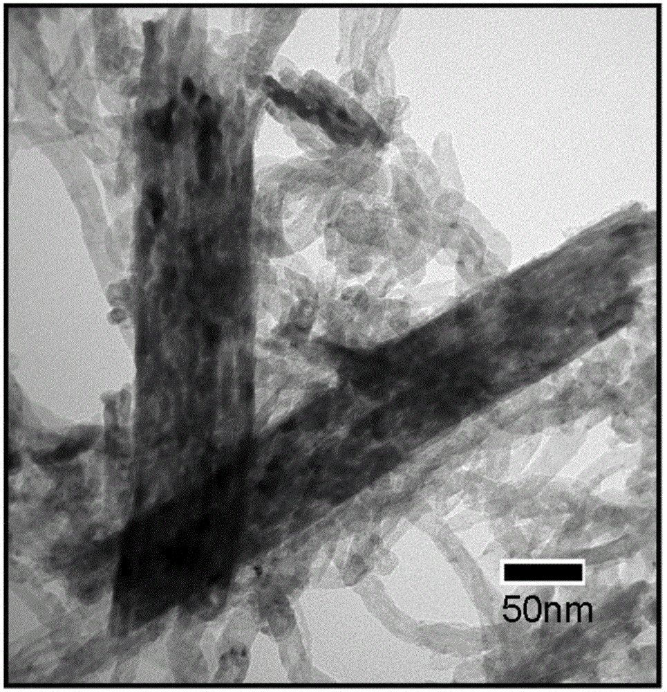 Homogenous precipitation method for preparing Fe2O3 nanobelt and Fe2O3 nanobelt-carbon composite material