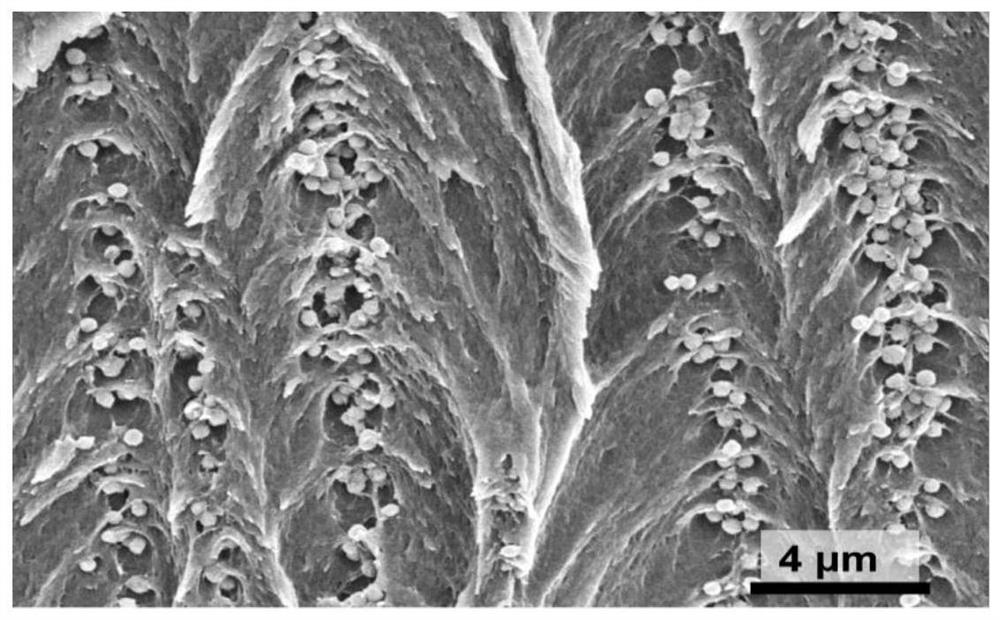 A drug-loaded thermochromic hydrogel functionalized fabric and its preparation and application