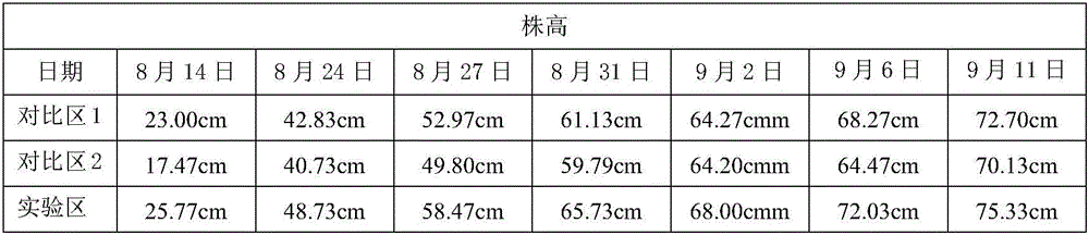 Four-nitrogen-combined nitrogenous fertilizer and preparation method thereof