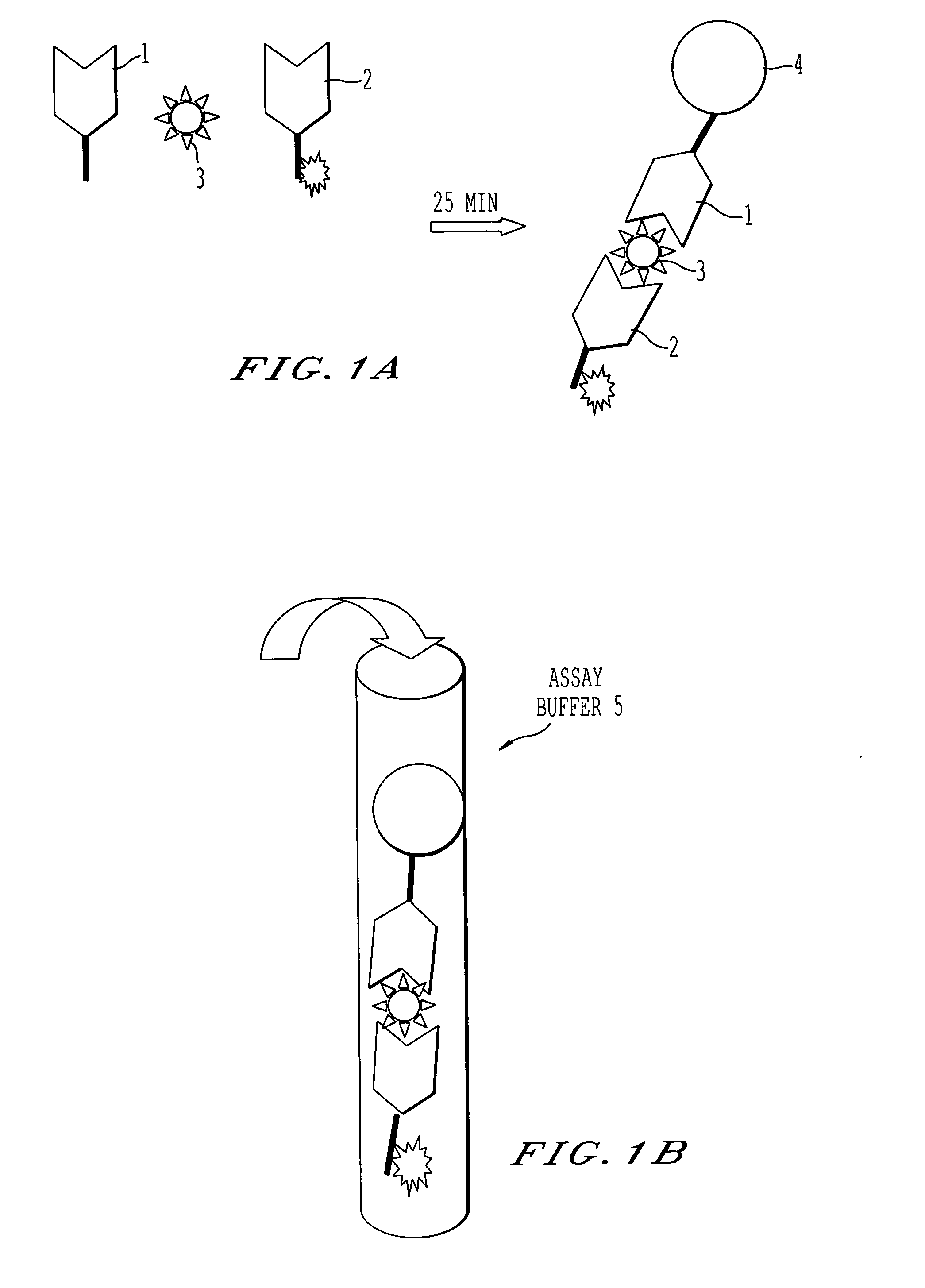 Immunoassay and reagents and kits for performing the same