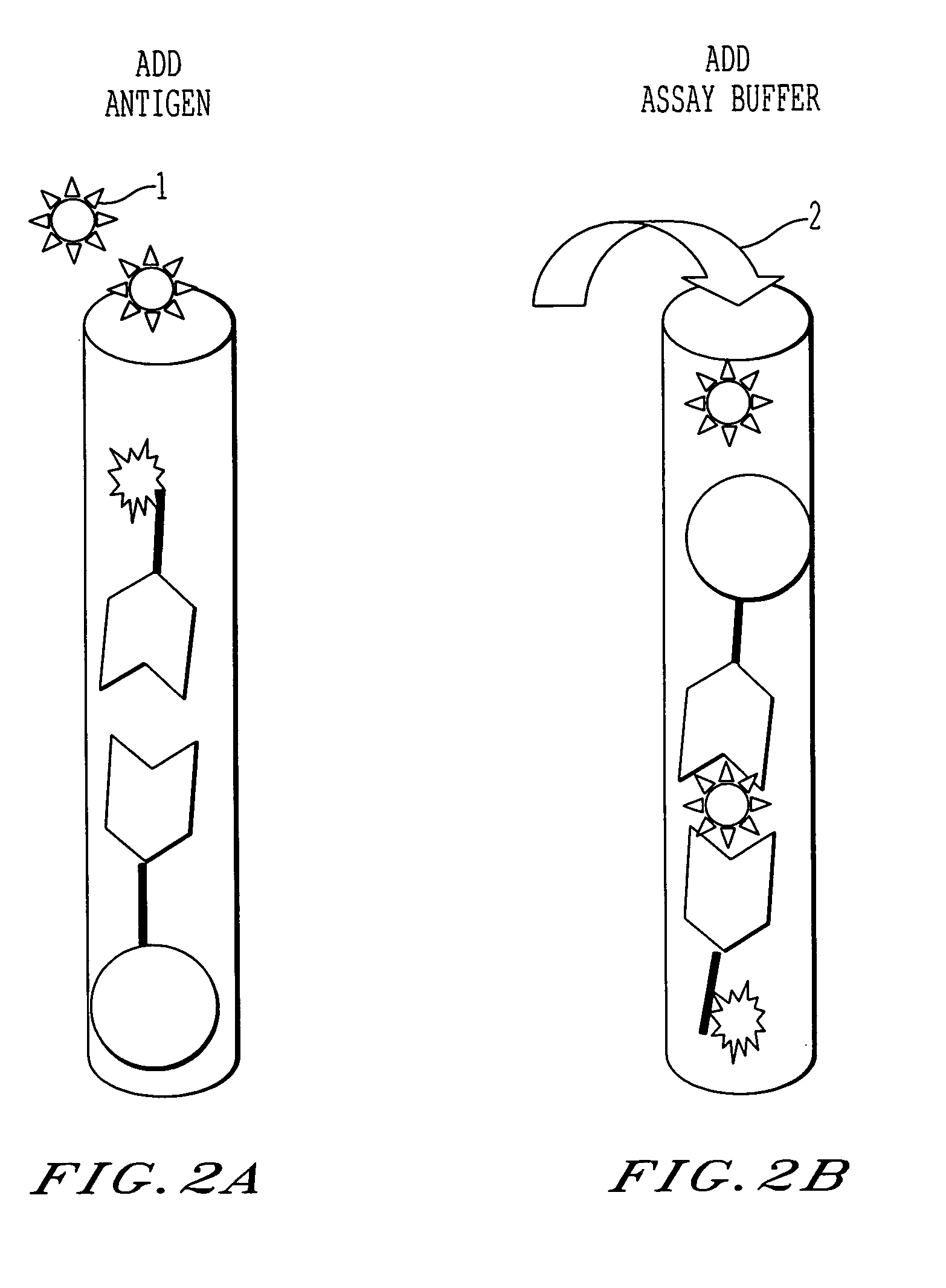 Immunoassay and reagents and kits for performing the same