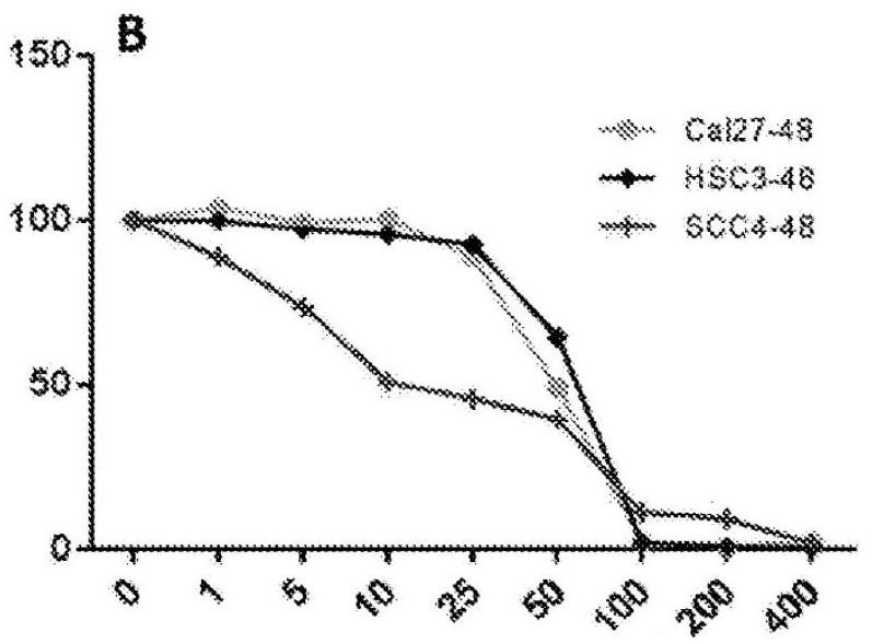 Compositions of azadirachta indica and methods of treating cancer