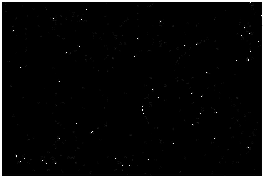 Perfluorocarbon albumin nanoparticles and preparation method and application thereof