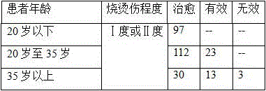 Traditional Chinese medicine spraying preparation for treating burns and scalds and preparation method thereof