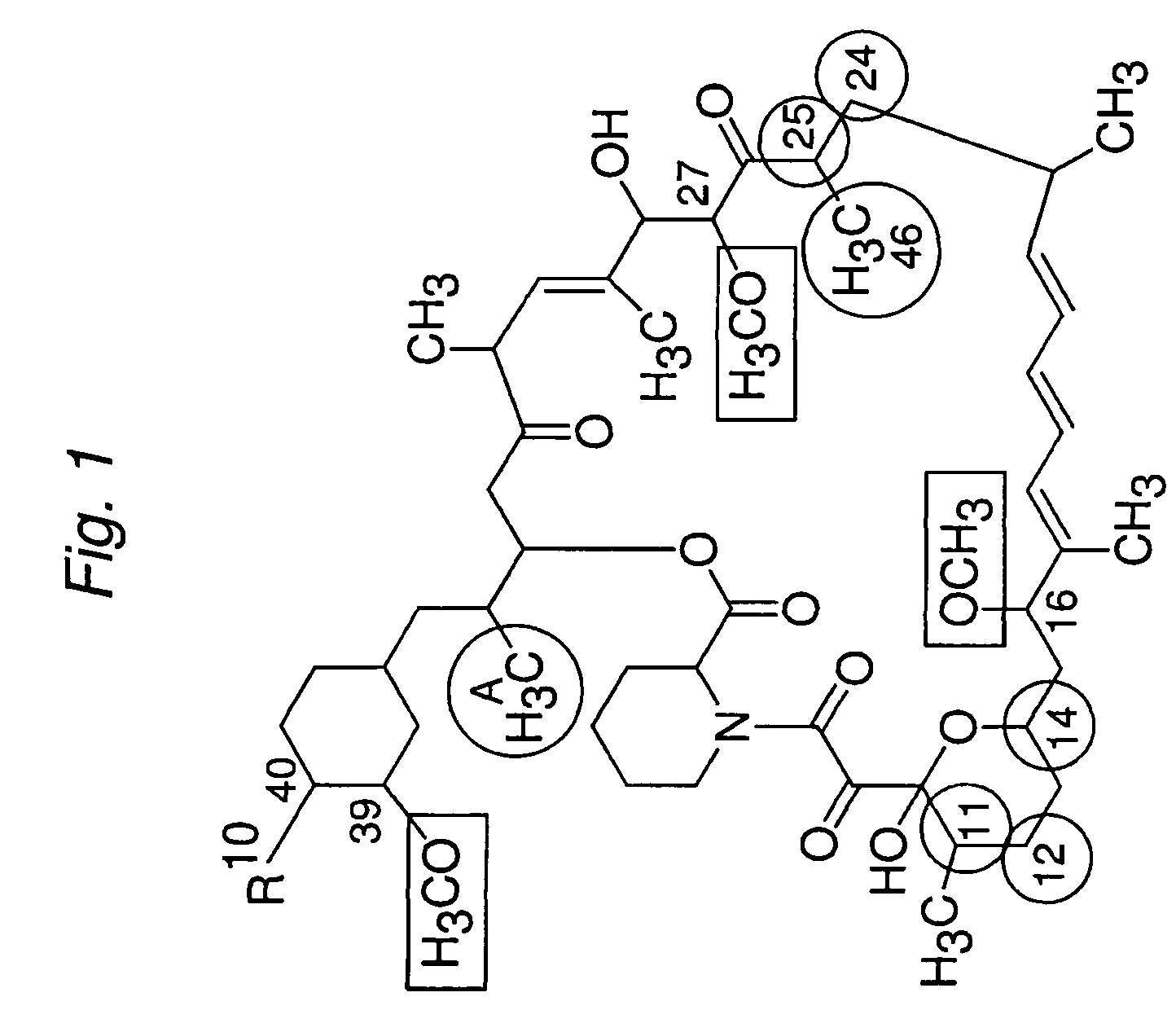 Macrocyclic lactone compounds and methods for their use