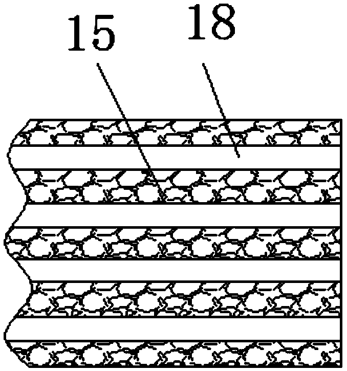 Melon and fruit cutting device