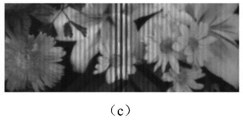 Dual-channel high-throughput interference imaging spectral device and method