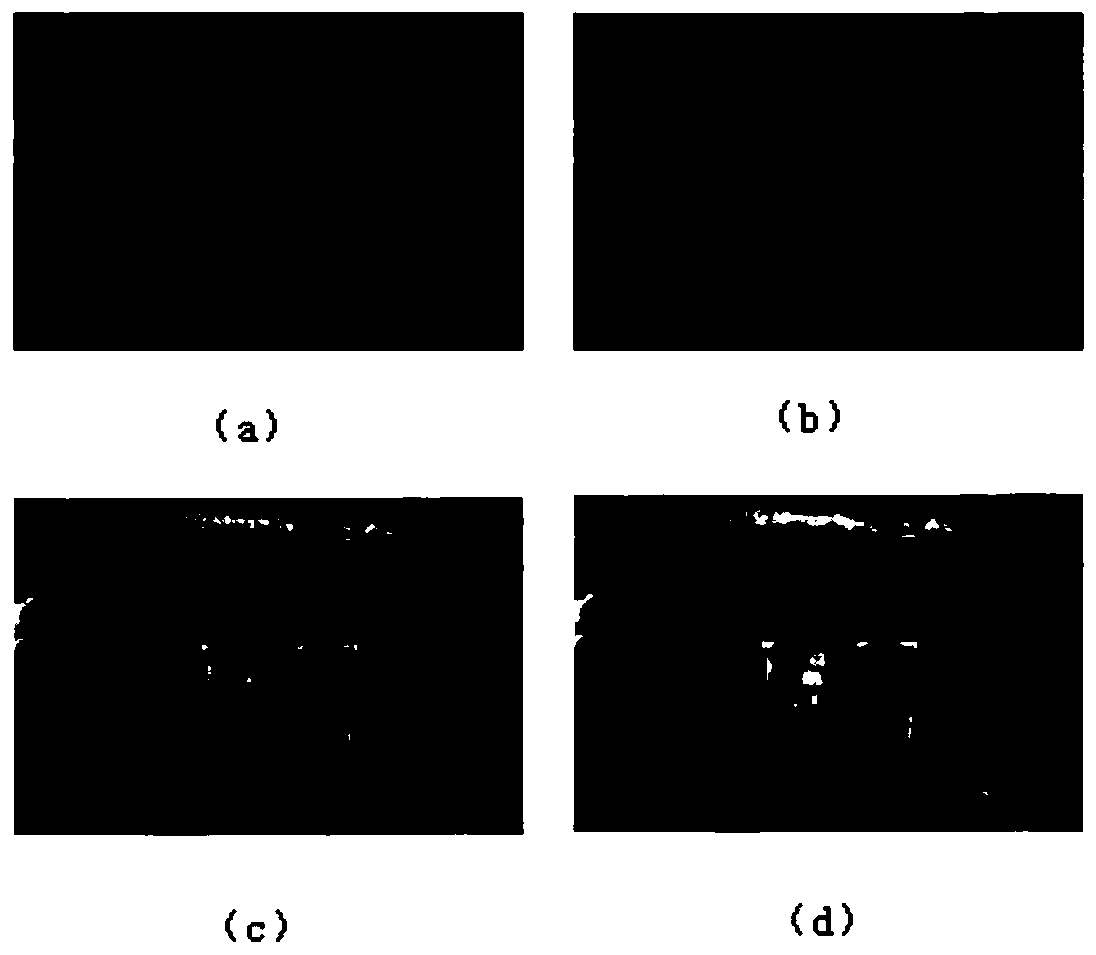 Downhole image processing method based on improved bilateral filtering