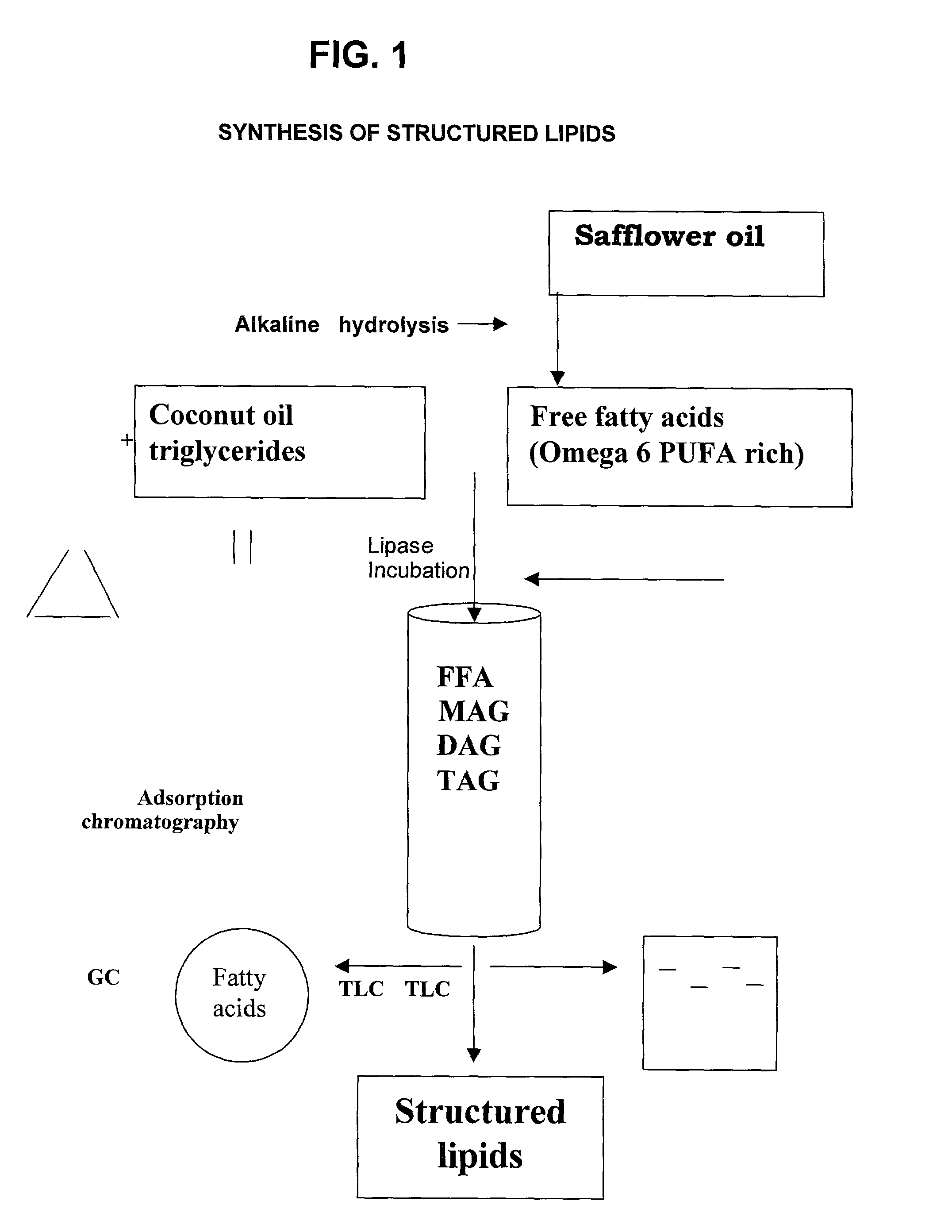 Cholesterol lowering structured lipids containing omega 6 polyunsaturated fatty acids and the process thereof