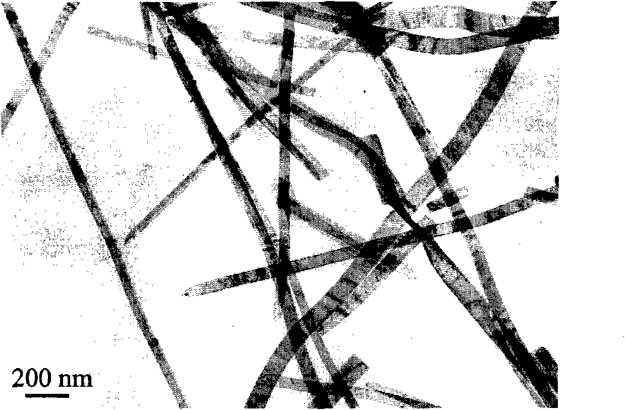 Preparation method and application of silver vanadate/vanadium oxide one-dimensional composite nano-electrode material