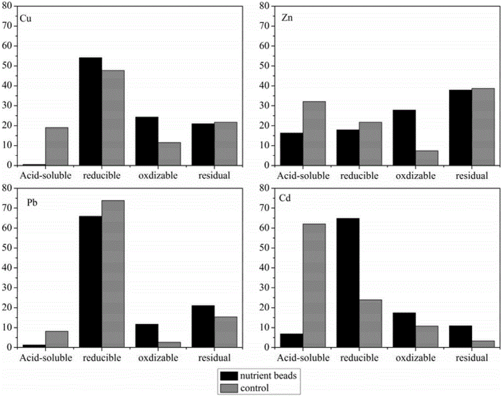 Nutrient source immobilized sulfate reducing bacterium globules as well as preparation method and application thereof