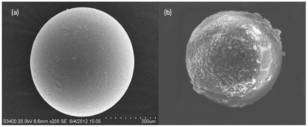 Application of nano-iron-palladium bimetallic composite material and method for removing nitrate and phosphate in water body and subsequent treatment method