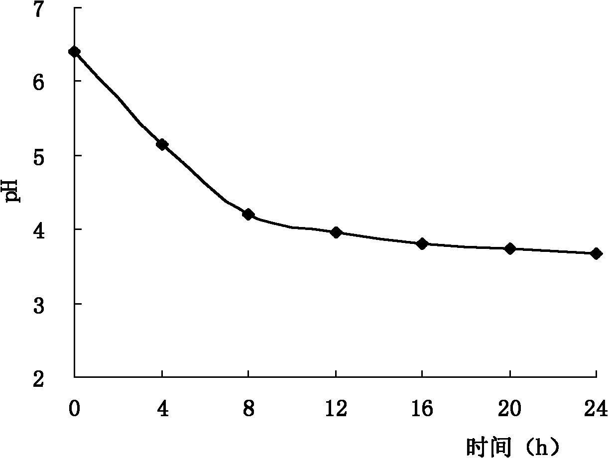 Lactobacillus plant arum ZY-40 and application thereof to preparing fish sausage through fermentation