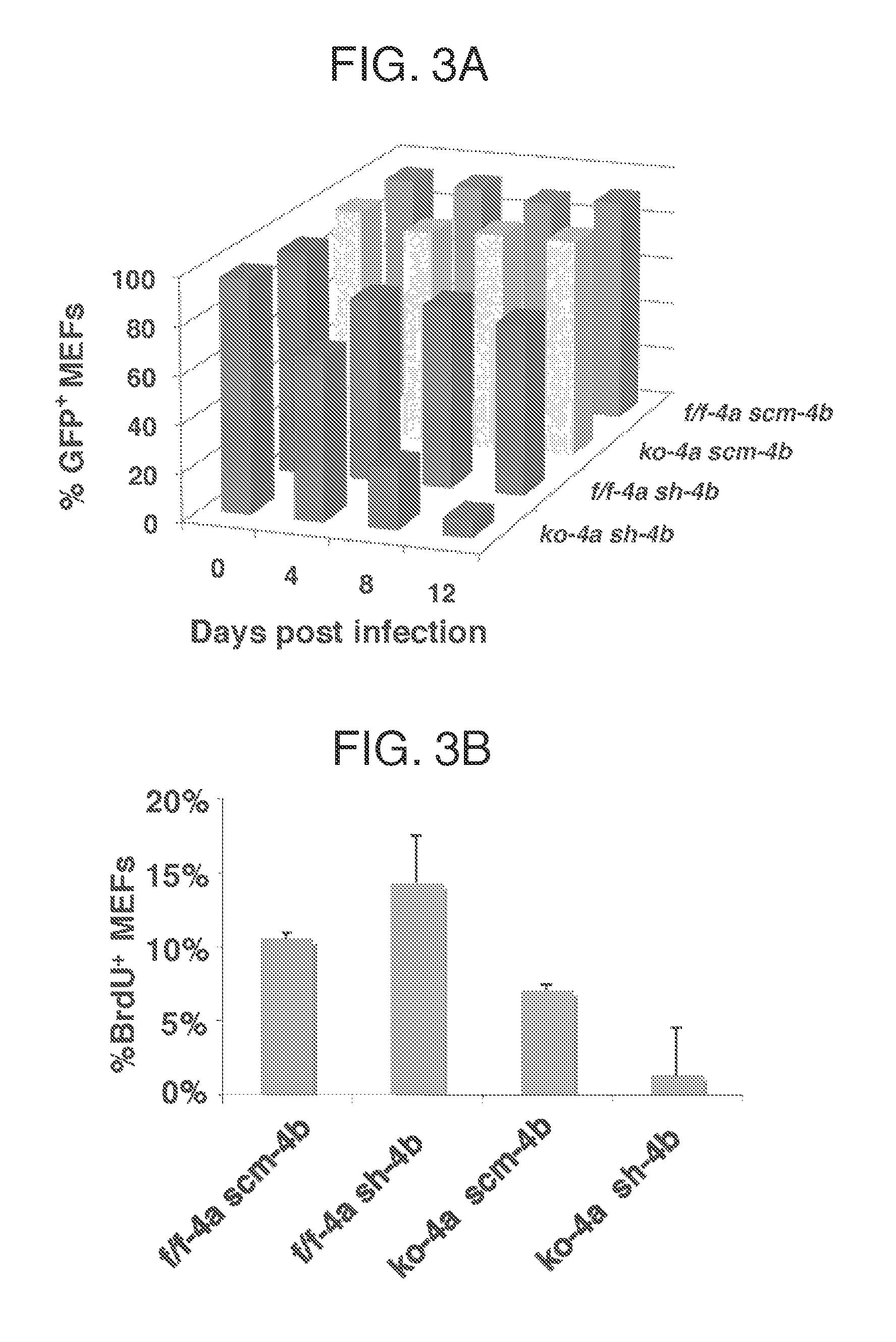 Substances and compositions for enhancing DNA repair and methods of use