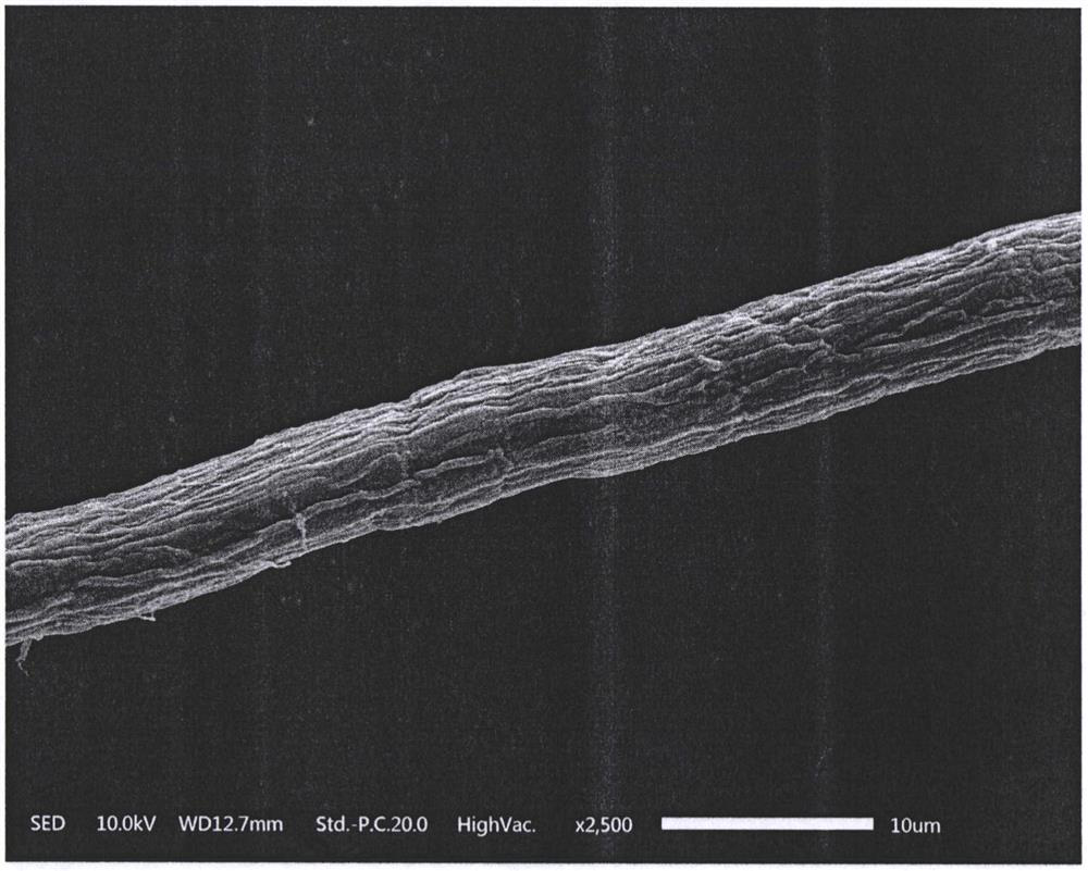 Method for improving softness of bamboo pulp fiber through laccase-assisted cellulase treatment