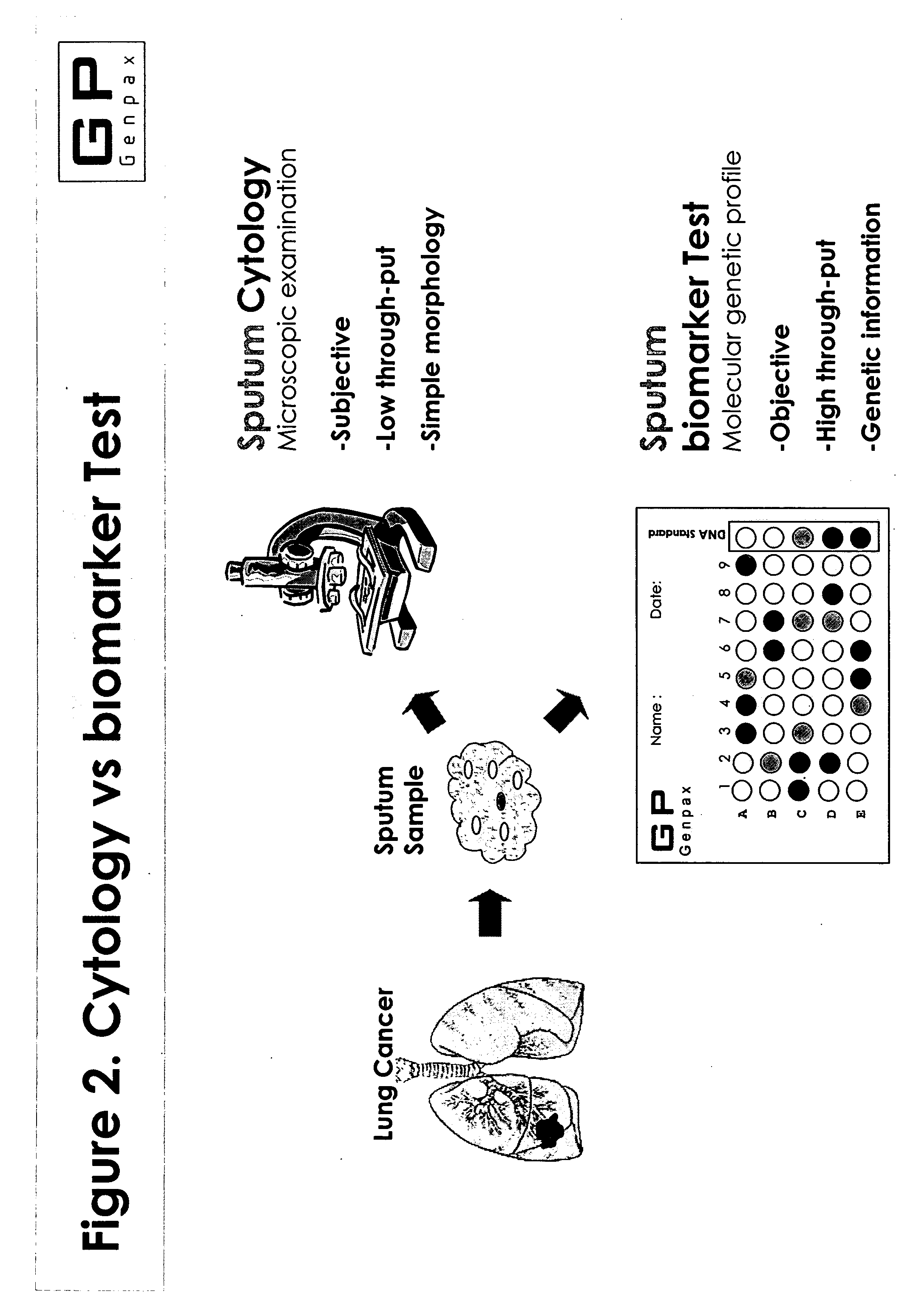 Novel composition and methods for the diagnosis of lung cancer