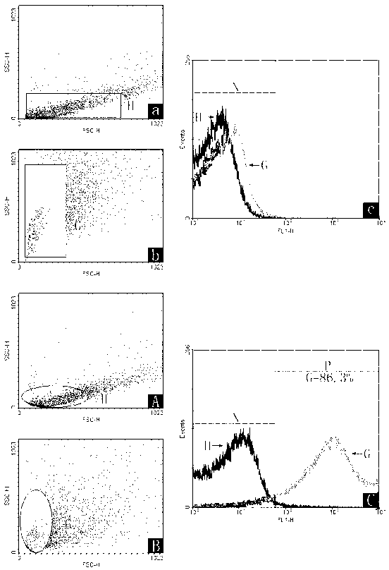 Monoclonal antibody of anti-blue crab particle hemocyte 26.7kDa protein, and preparation method thereof