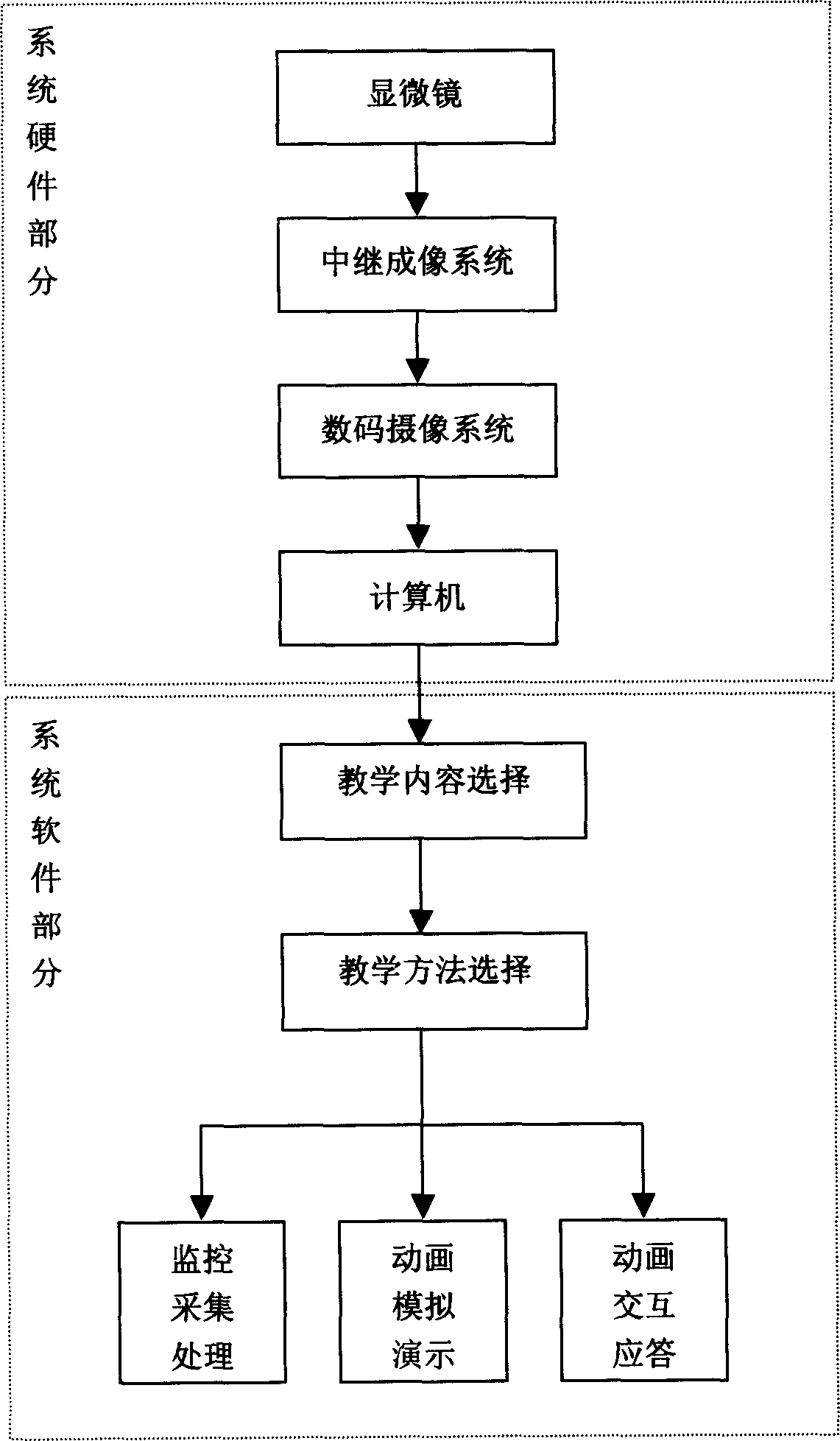 Method and apparatus for combining biological microscopic image collection with multimedia teaching