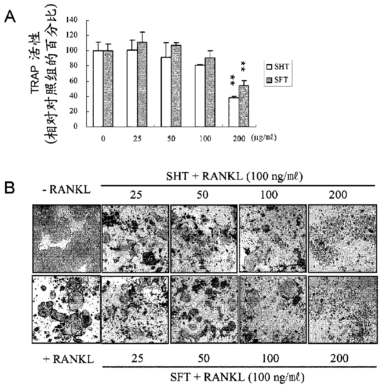 Composition for preventing or treating osteoporosis, containing ssangwhatang or lactobacillus fermented product thereof