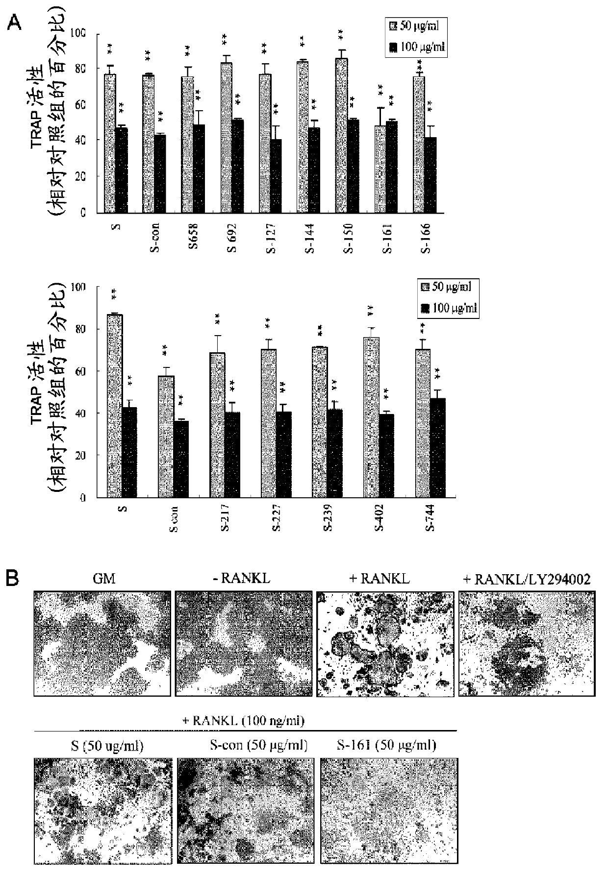 Composition for preventing or treating osteoporosis, containing ssangwhatang or lactobacillus fermented product thereof