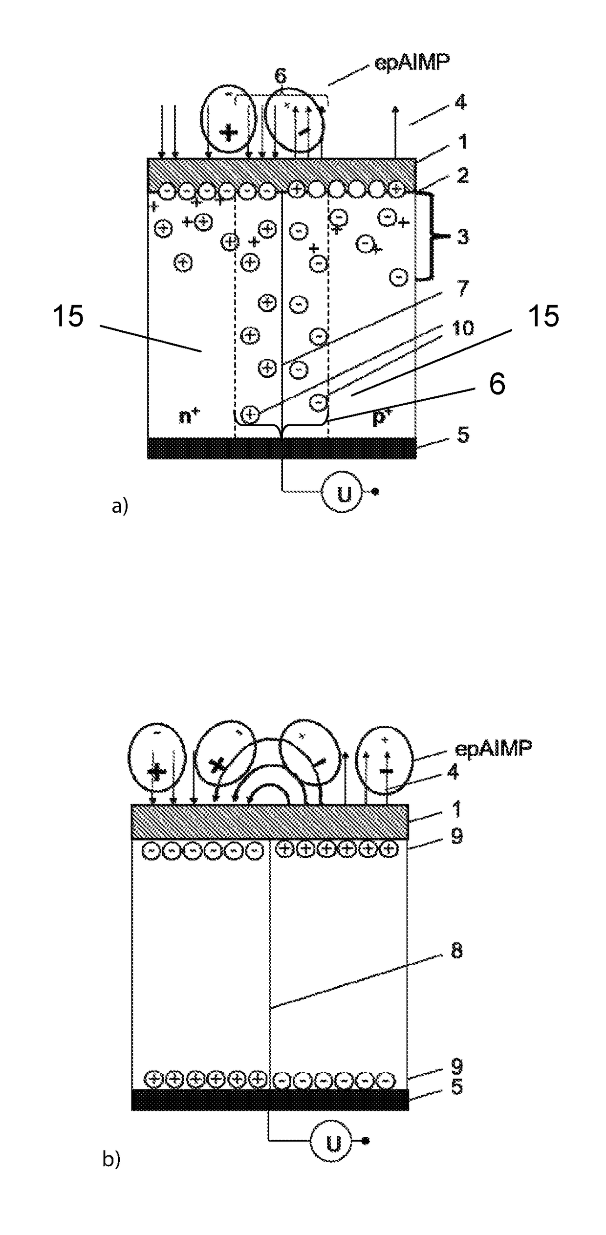 Carrier material for electrically polarizable biomaterials, polyelectrolyte materials, atoms, ions and molecules; its manufacture and use