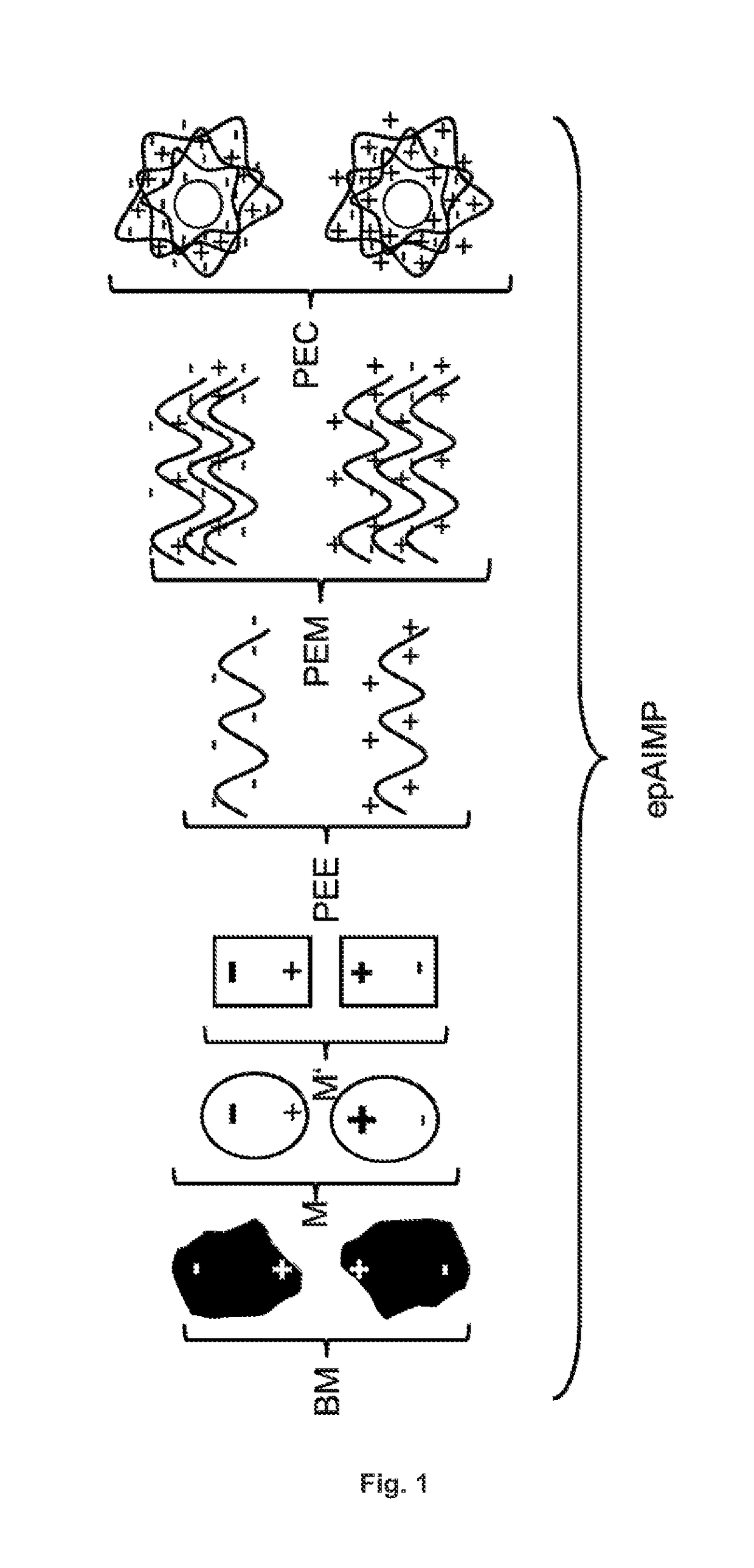 Carrier material for electrically polarizable biomaterials, polyelectrolyte materials, atoms, ions and molecules; its manufacture and use