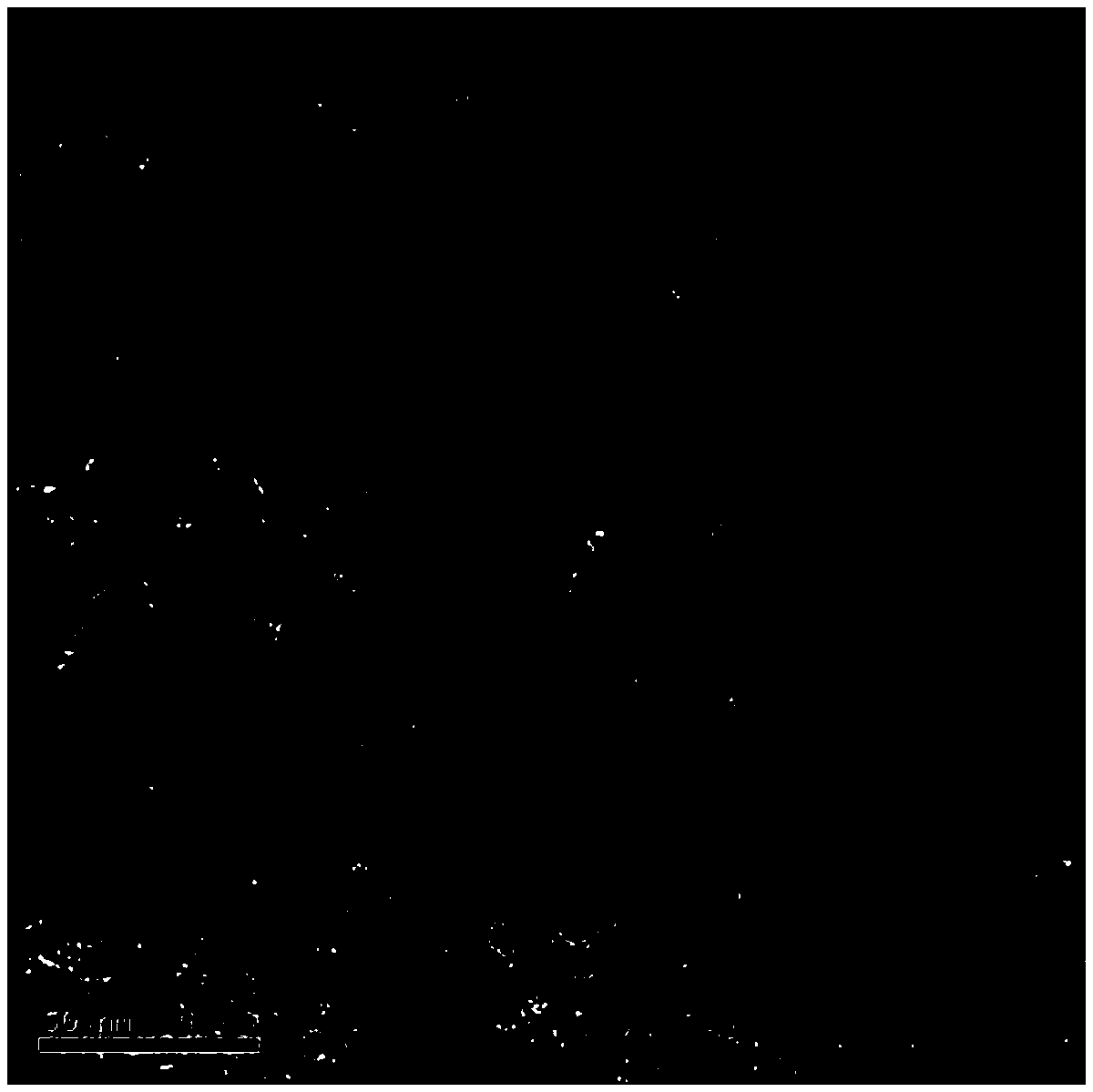 Graphite carbon/ferroferric oxide composite and preparation method and application thereof