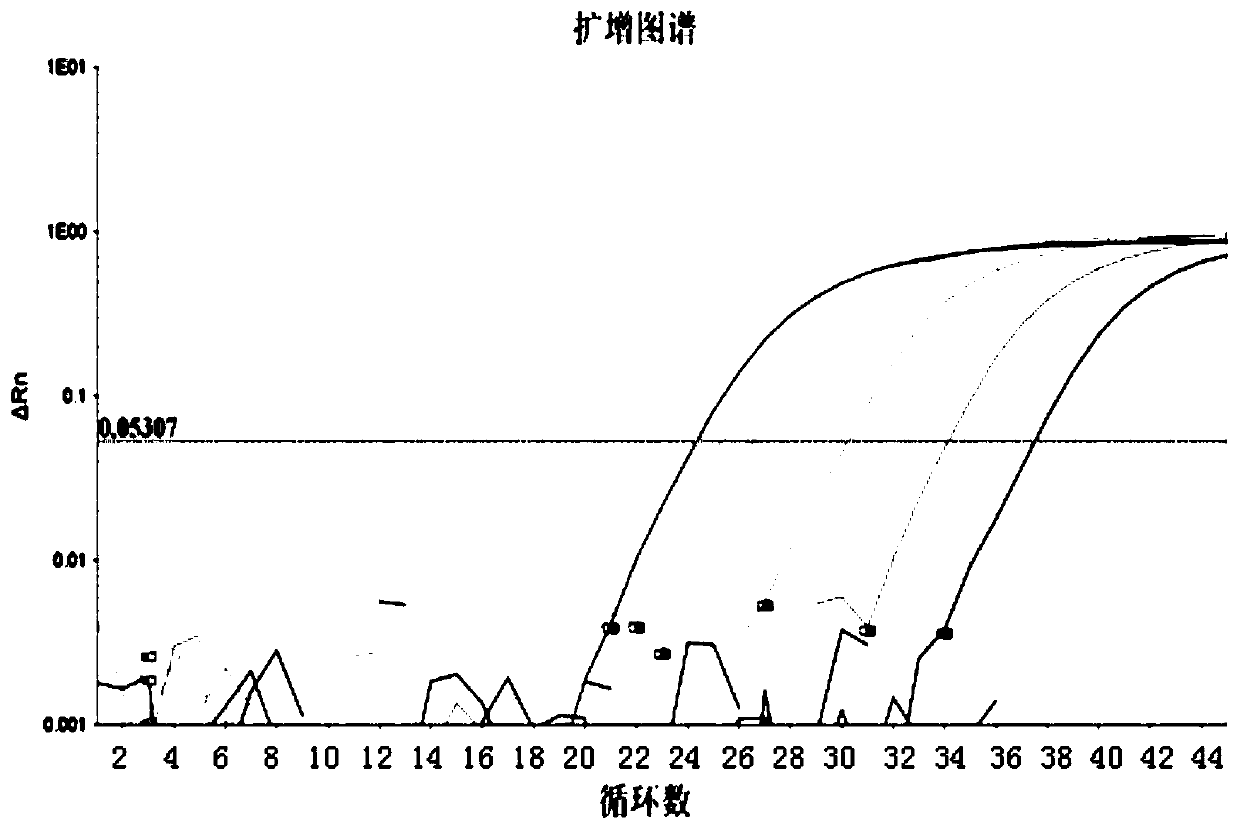 Real-time fluorescence PCR detection method for donkey-derived components in food and feed