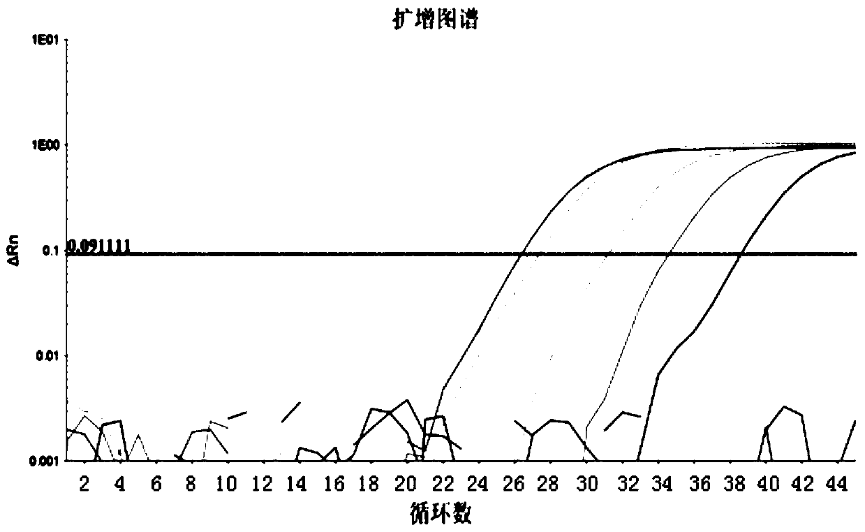 Real-time fluorescence PCR detection method for donkey-derived components in food and feed