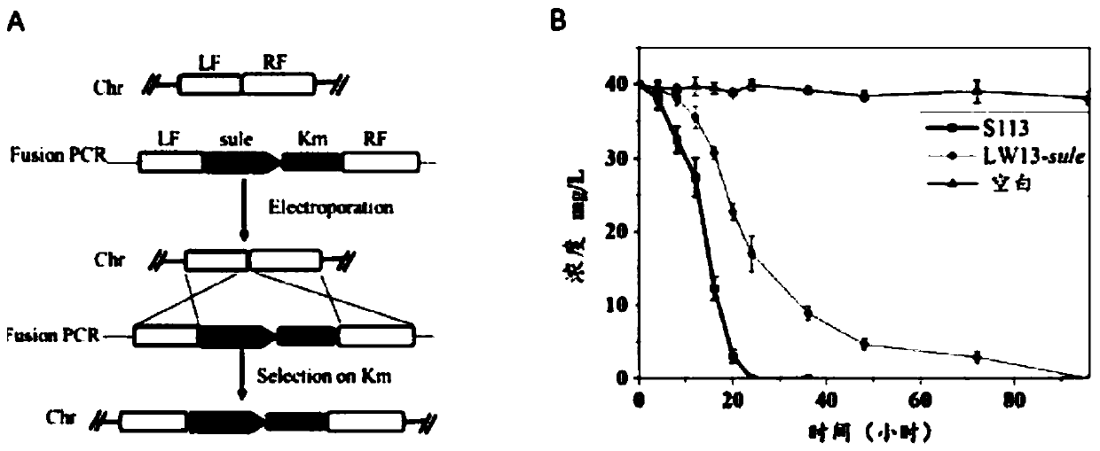 Method for eliminating organic pollutant residues in soil by utilizing genetically engineering modified methane-oxidizing bacteria