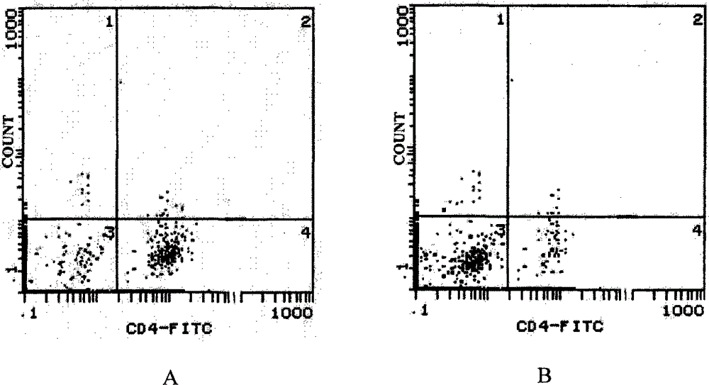 Preparation method of Th1 cell subset and use of Th1 cell subset in preparation of anti-tumor cell preparation