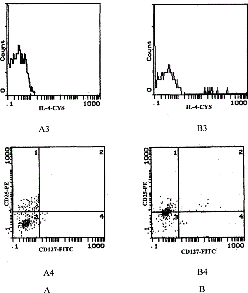 Preparation method of Th1 cell subset and use of Th1 cell subset in preparation of anti-tumor cell preparation