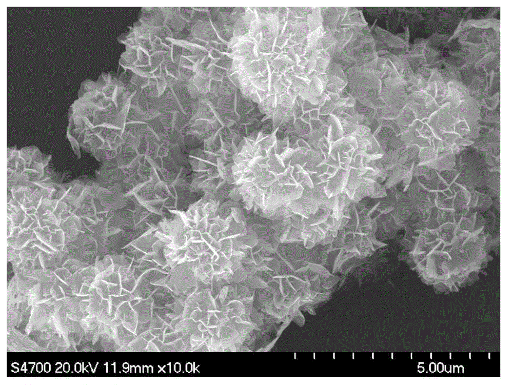 Positive pole material of lithium ion battery and preparation method of material