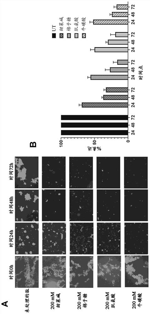 Use of penetrant for preparation of medicament for treatment of ocular disorders