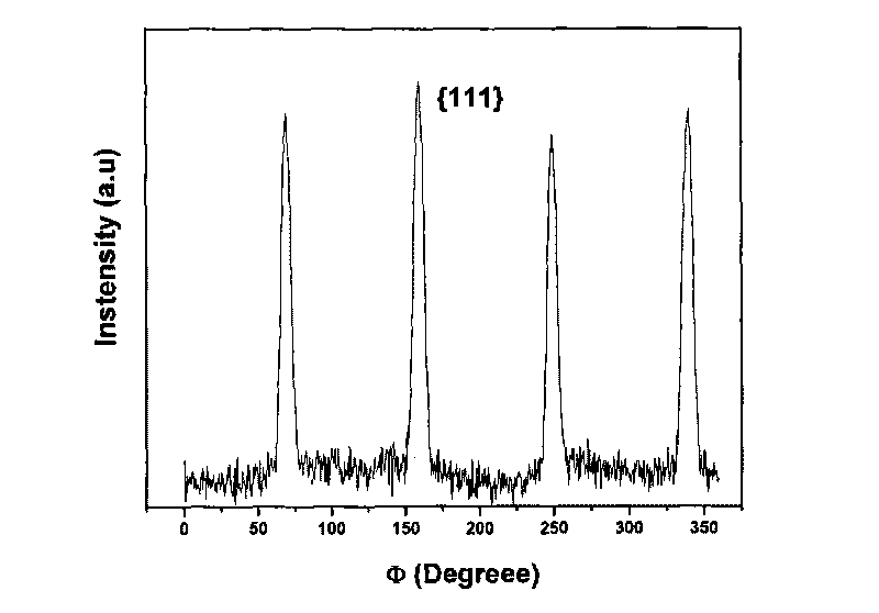 Method for preparing tin oxide single crystal film with orthogonal structure