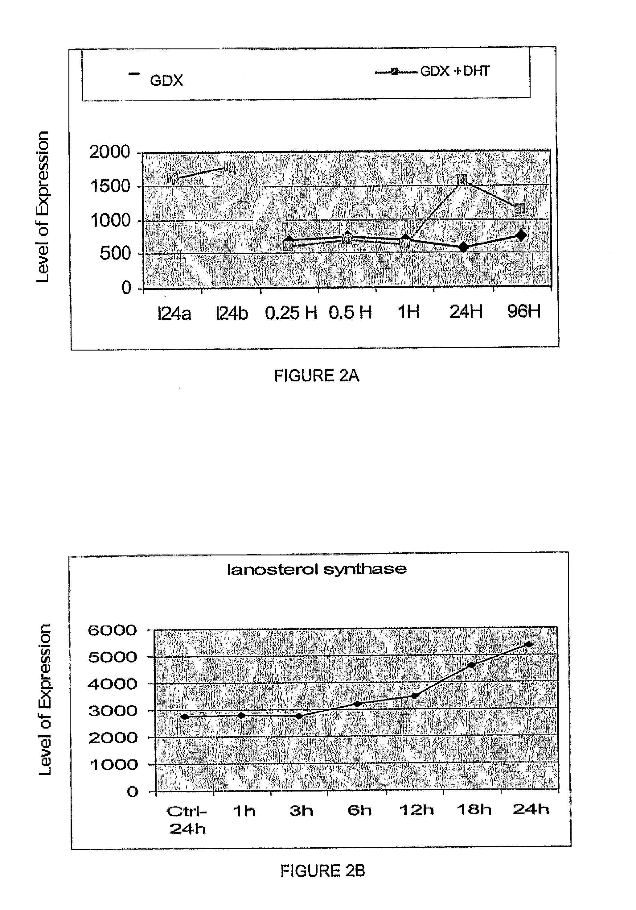 Modulators of lanosterol synthetase for treating acne or hyperseborrhea