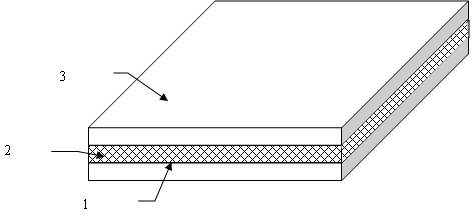 Metal wire mesh reinforced heat-conducting plastic with high strength, high corrosion resistance and high heat conductivity