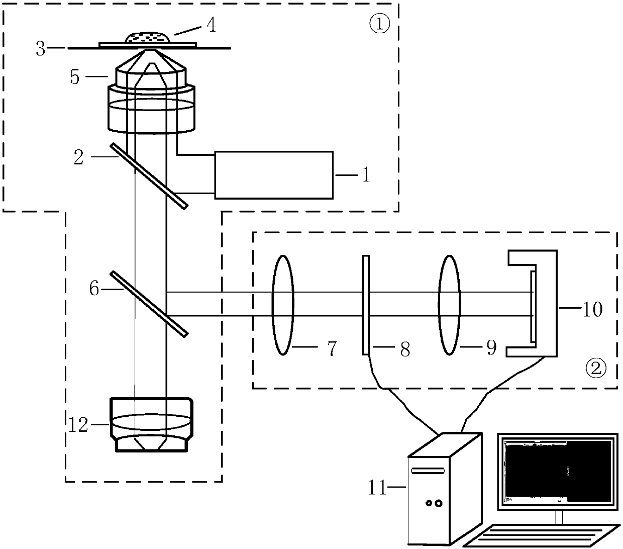 A method for measuring cytoplasm viscosity based on quantum dot three-dimensional tracing