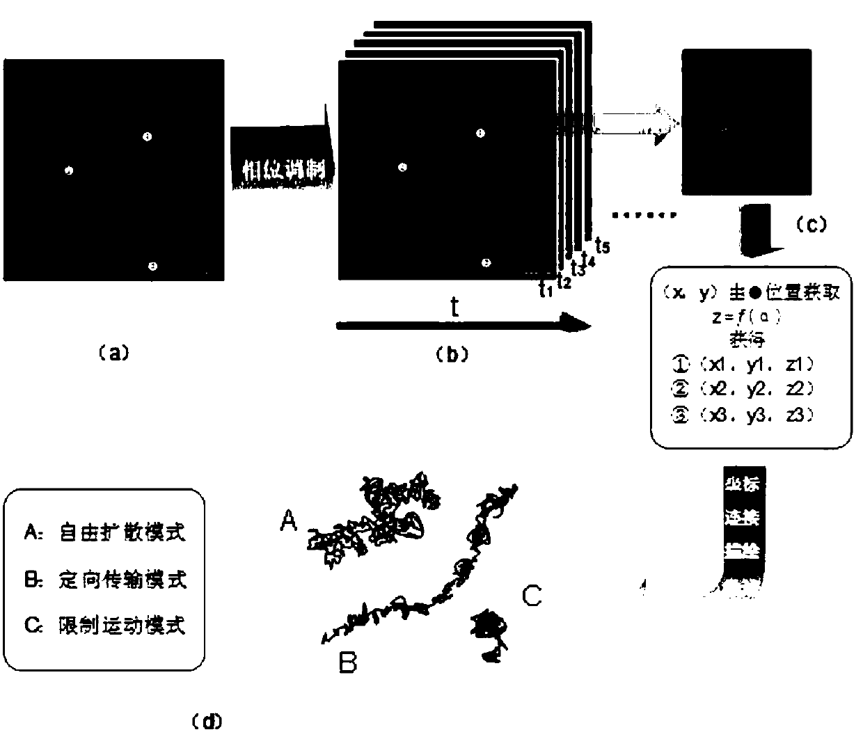 A method for measuring cytoplasm viscosity based on quantum dot three-dimensional tracing