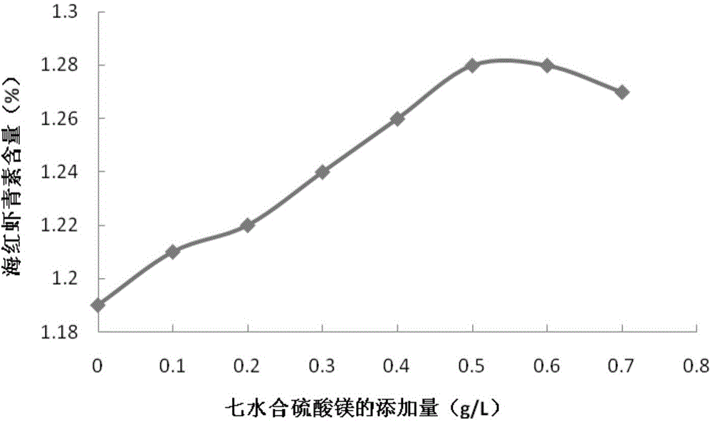 Method for enhancing mussel astaxanthin fermentation production yield