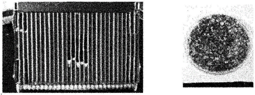 Antimicrobial agent screening method