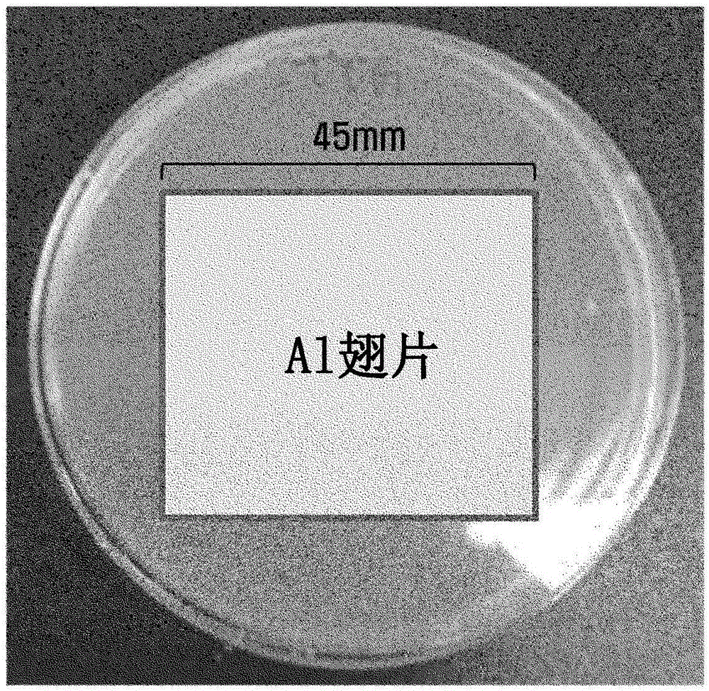 Antimicrobial agent screening method