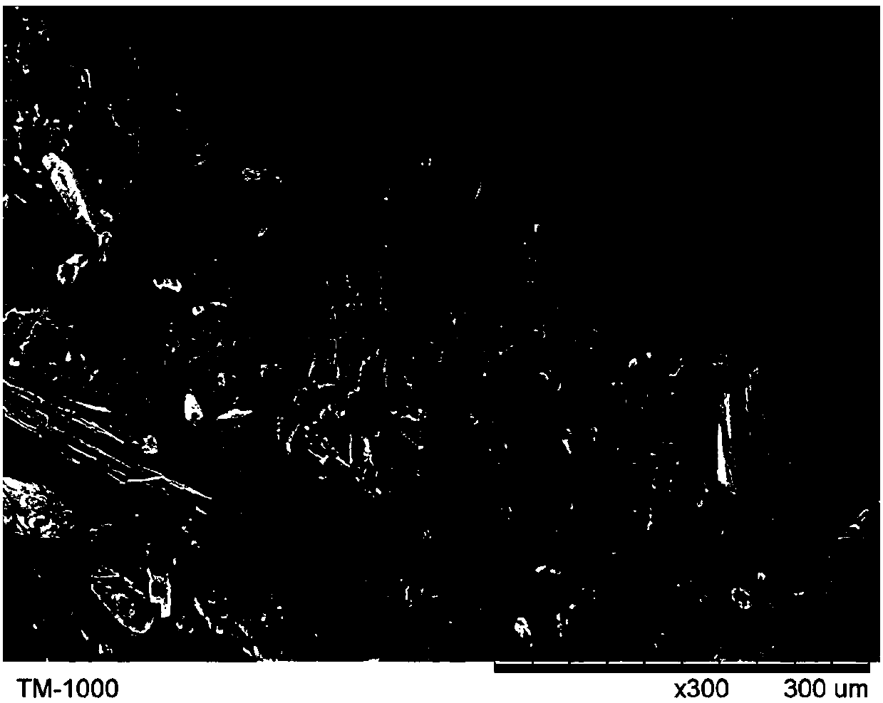 Long plant fiber-reinforced polypropylene composite material and preparation method thereof