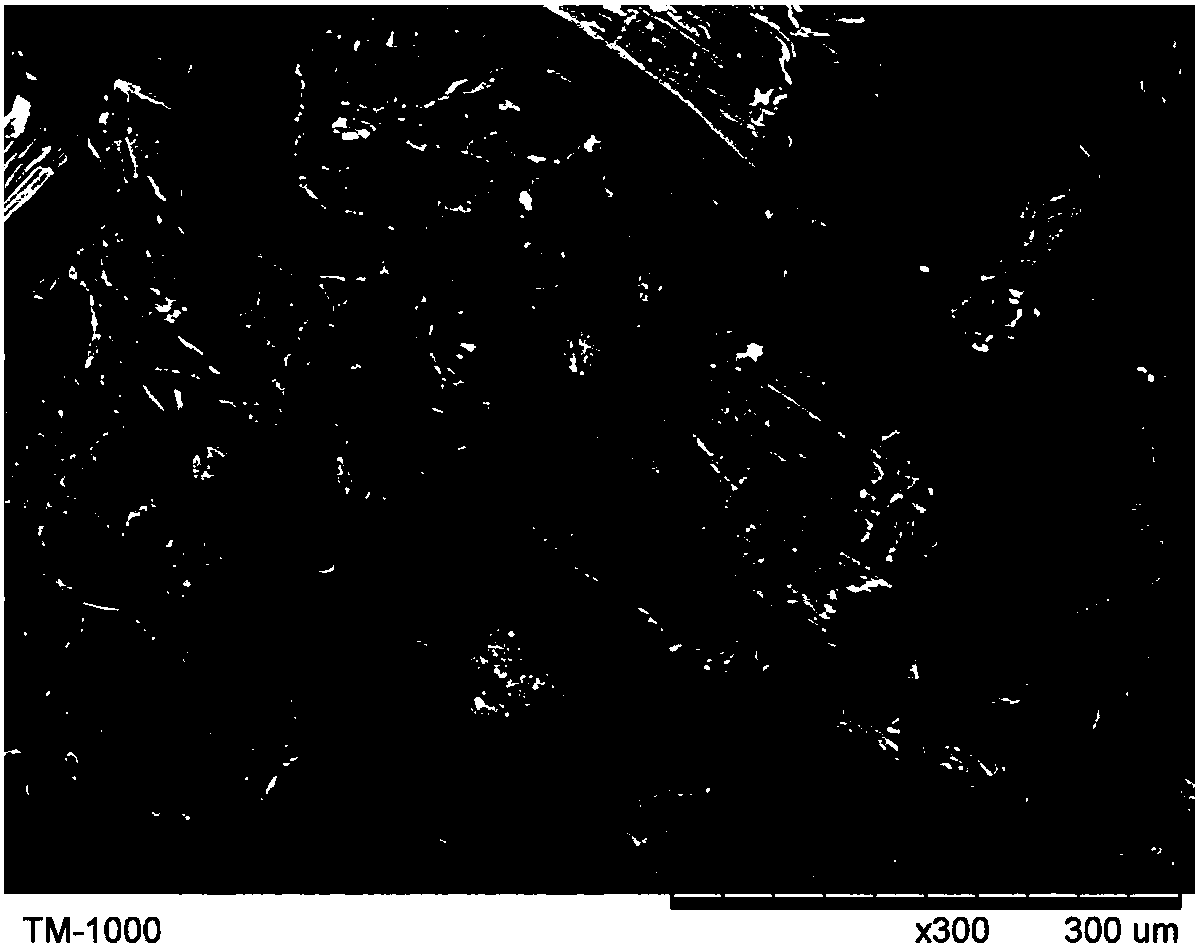 Long plant fiber-reinforced polypropylene composite material and preparation method thereof