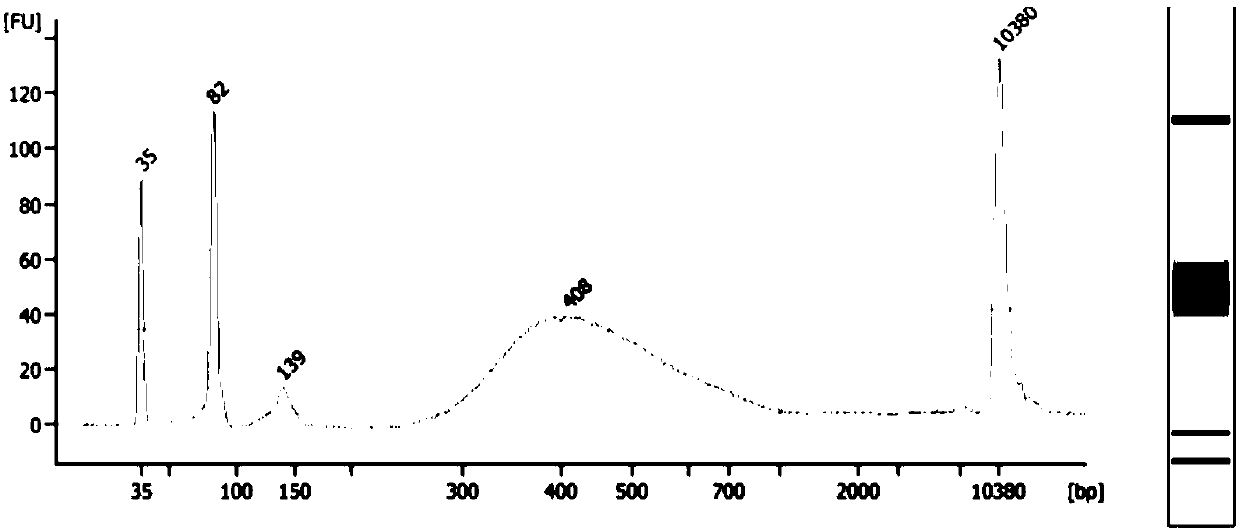 Micro-degraded genomic DNA methylation library building and sequencing method and kit thereof