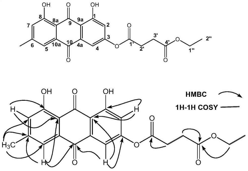 Emodin succinyl ester compound and preparation method and use thereof