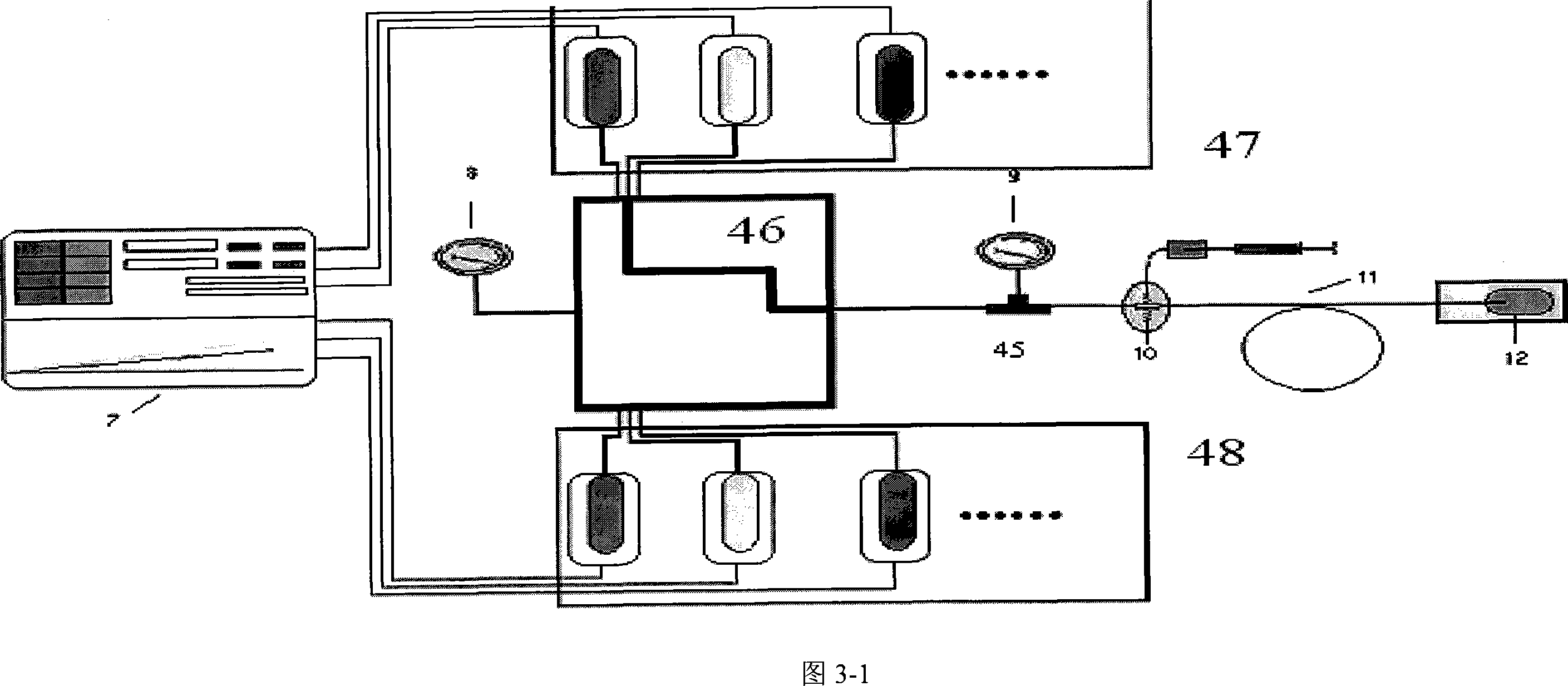 Hot expansion continuous microflow high pressure gradient pump for high-performance liquid chromatographer